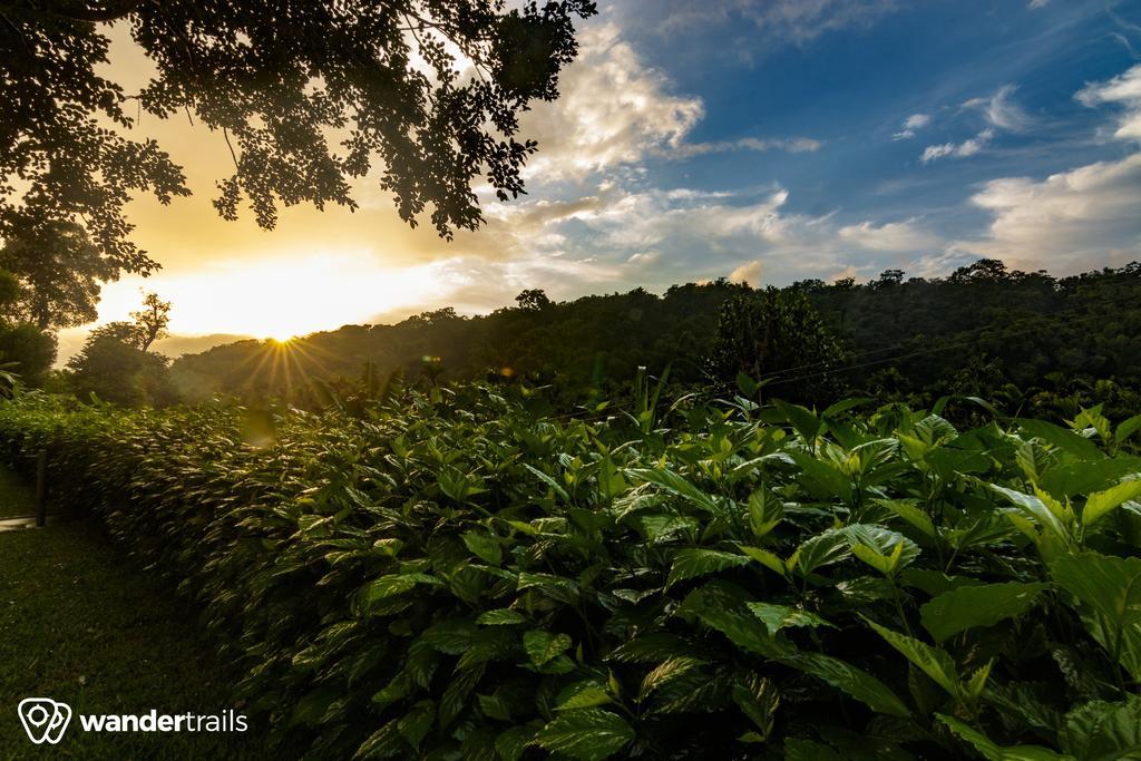 Whispering Willows Gudalur  Exterior foto