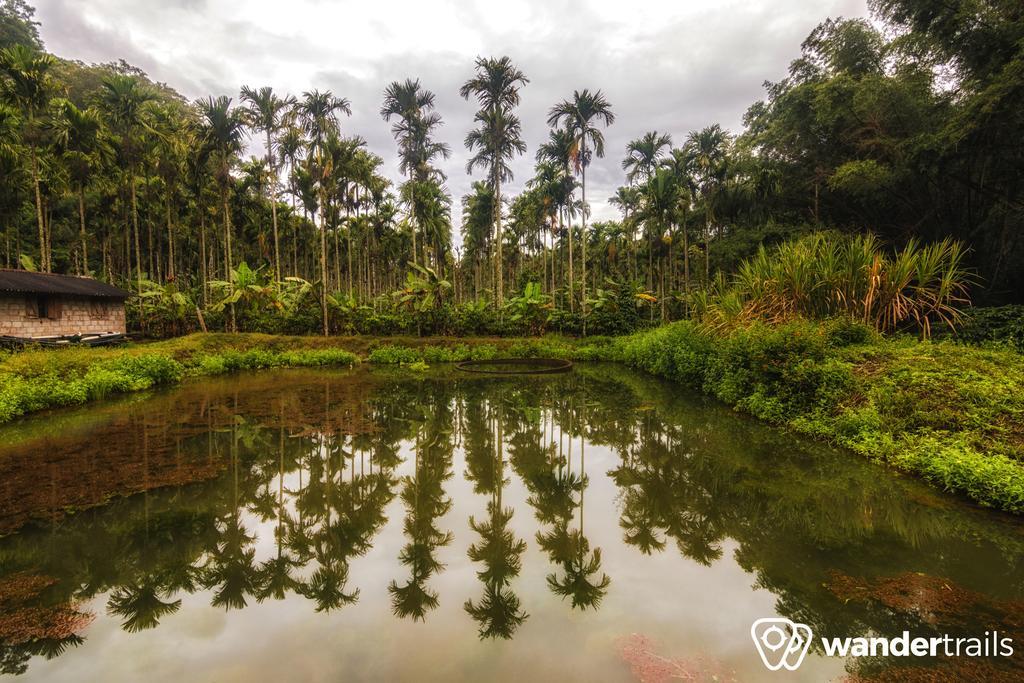 Whispering Willows Gudalur  Exterior foto